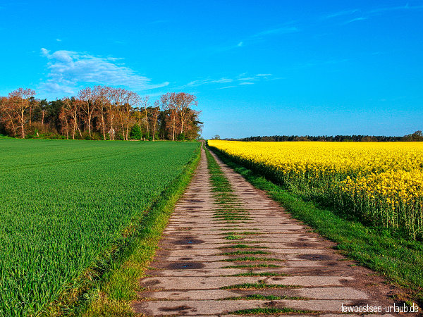 achterland-usedom-gnitz2