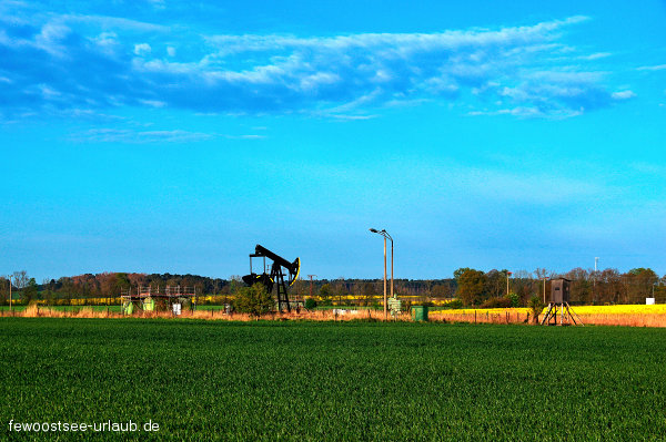 gnitz-2-usedom