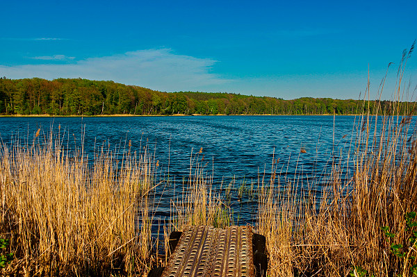 wolgastsee-usedom4